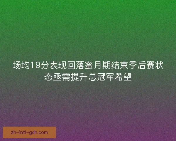 场均19分表现回落蜜月期结束季后赛状态亟需提升总冠军希望